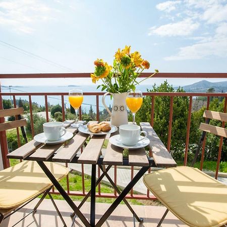 Villa Pergola-Apartment Toni Mlini Exteriér fotografie